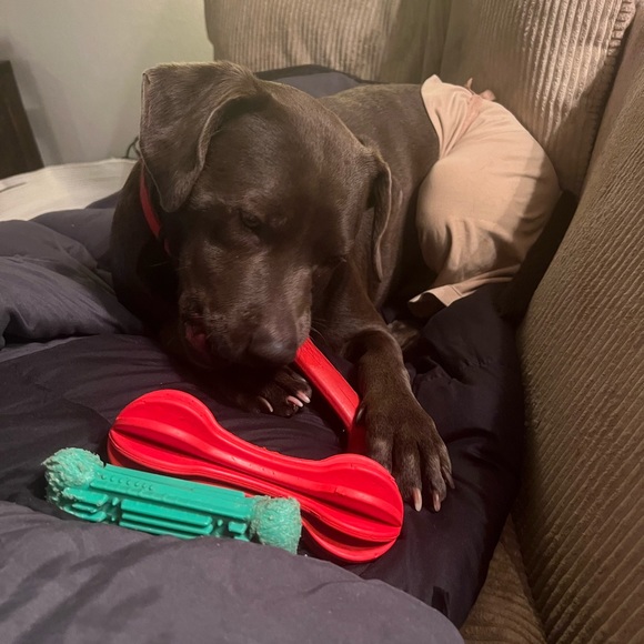 Meet your Posher, Samantha - Picture 12 of 15